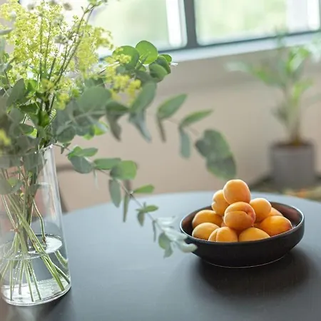 Design In Duo Lofts